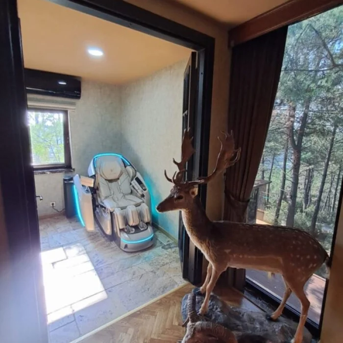 Cellini Vitaly Masaj Koltuğu